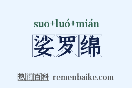 娑罗绵是什么意思的图片
